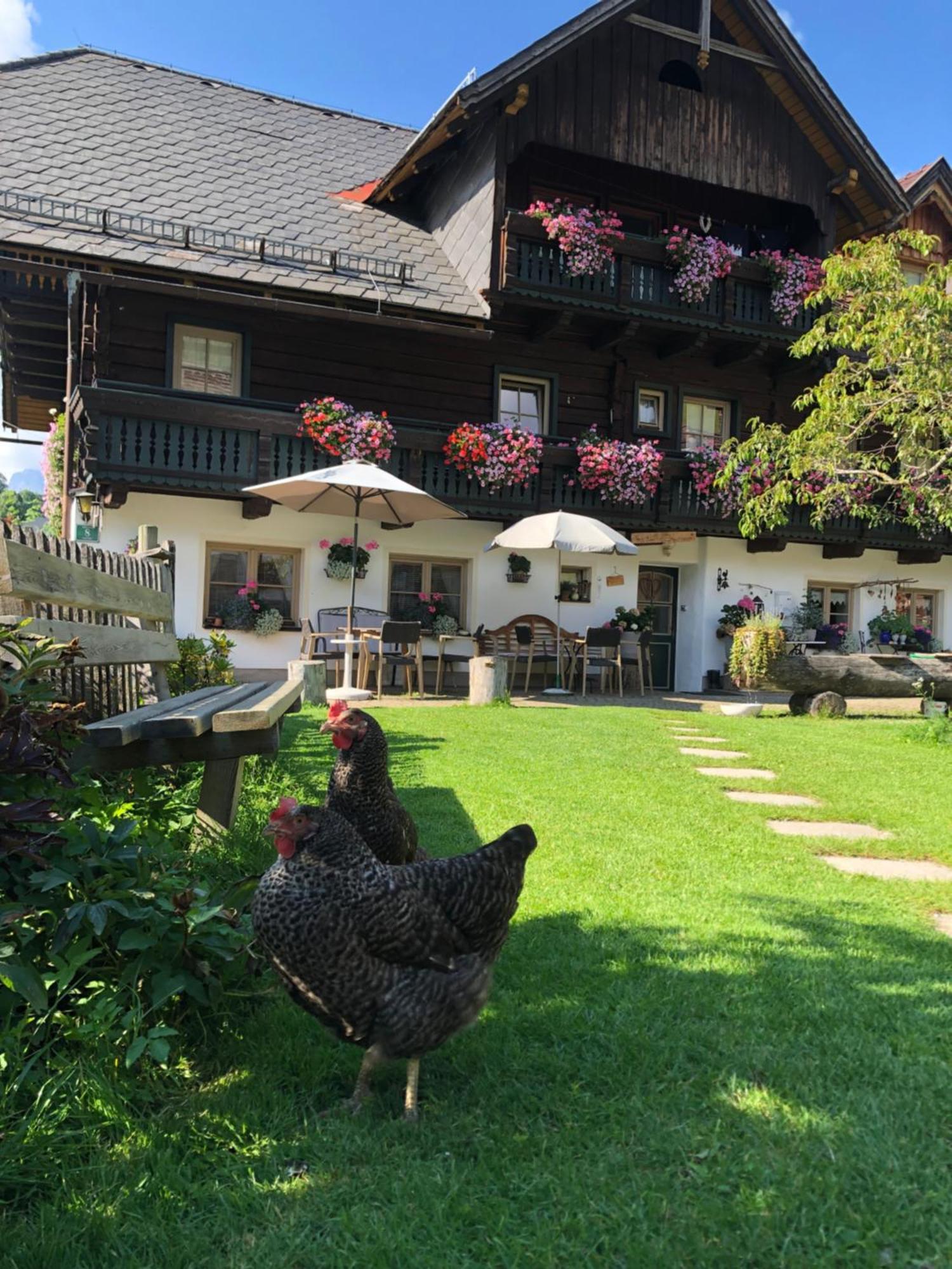 Auerhof Villa Schladming Exterior photo